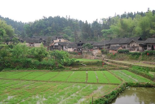 溆浦阳雀坡古村落